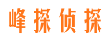 河东市婚外情调查